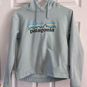 Patagonia Light Blue Hoodie